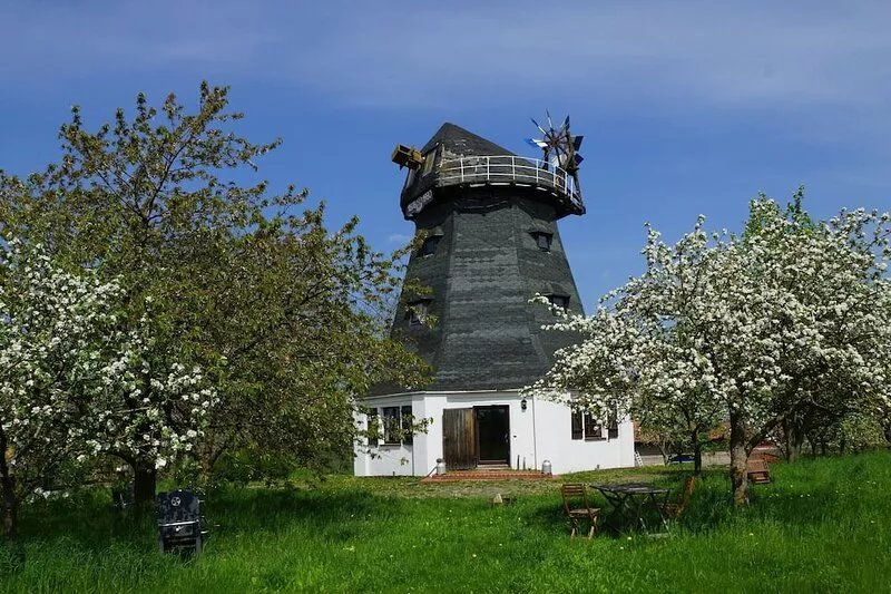 A windmill to fall in love with, family and dog-friendly with a large garden