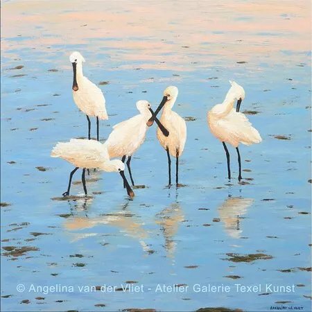 Atelier Galerie Texel Kunst Angelina Van Der Vliet