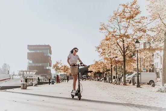 Make Antwerp Great Again - City tours