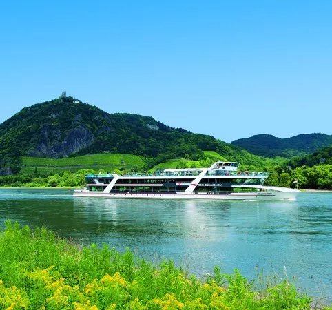KD Day Cruises