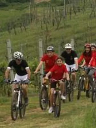 Tuscany Wine and Bike - Day Tour