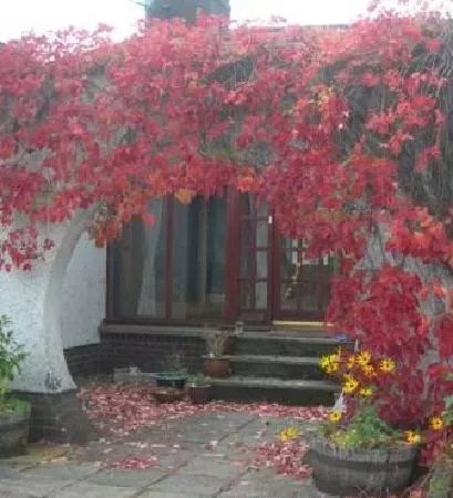 Woodlands Bed and Breakfast, Glenfarg