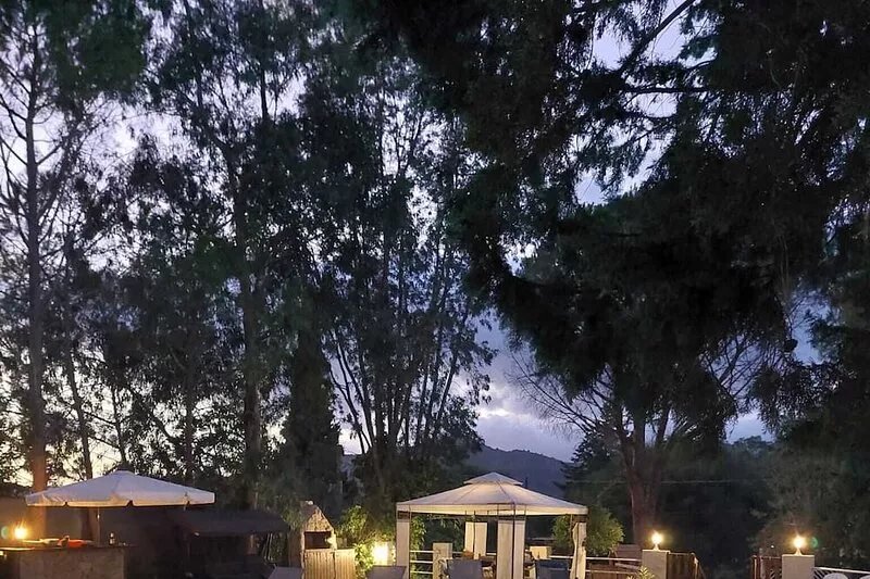 Villa with large swimming pool and 7-seater car included