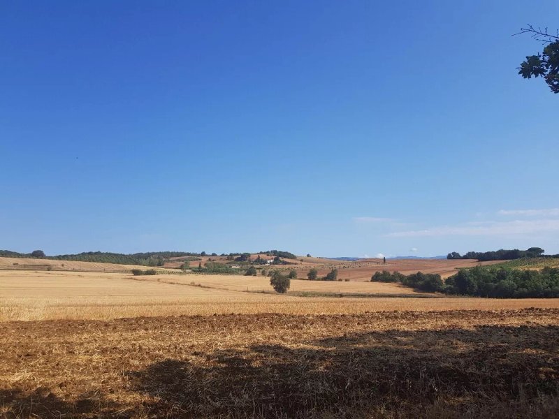 Poggio Sassineri