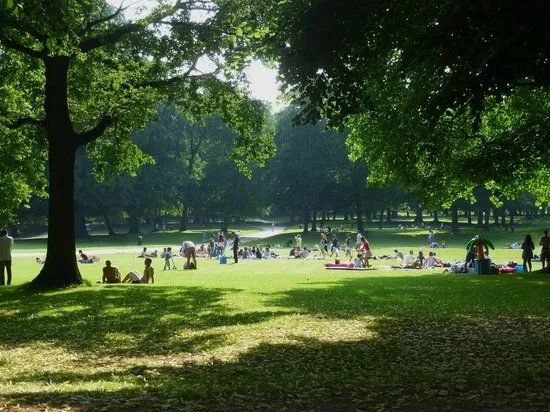 Bois de la Cambre