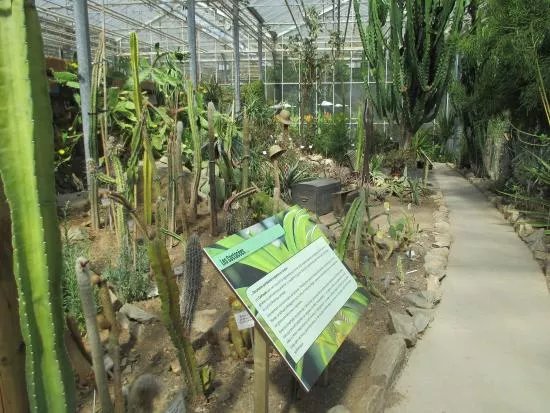Observatoire du Monde des Plantes