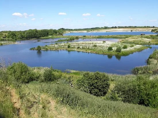 College Lake Nature Reserve