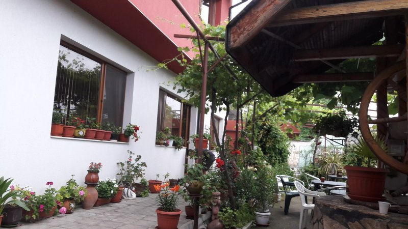 Kladenetsa Guest House