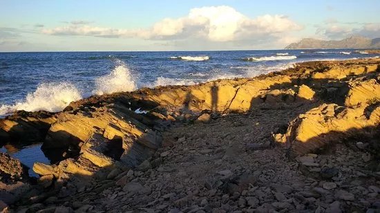 Finca Publica Son Real