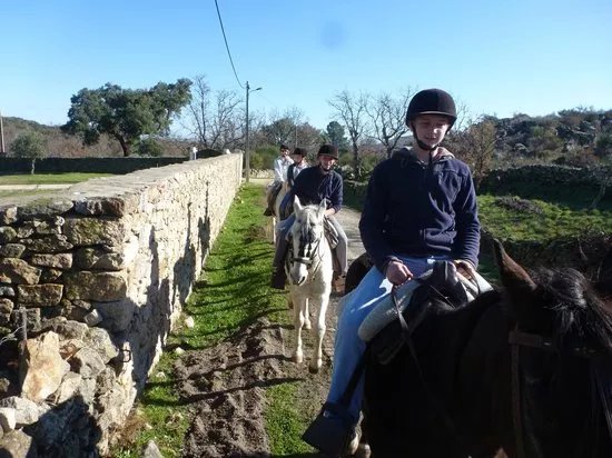 Caballos de Marvao