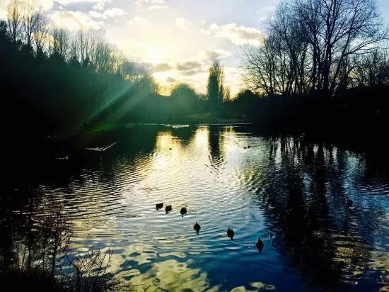 Vicar Water Country Park