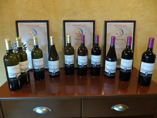 Winery Milijan Jelic