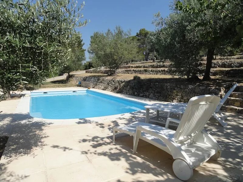 Rental house with private pool on land of olive trees Flayosc