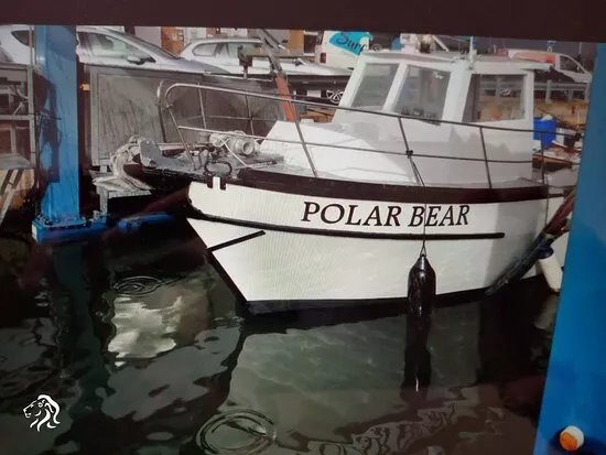 Polar Bear Fishing Adventures