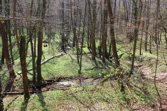 Hagenbachklamm