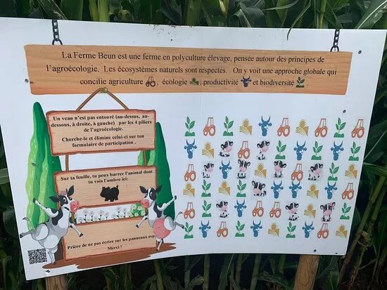 Labyrinthe de la Ferme Beun