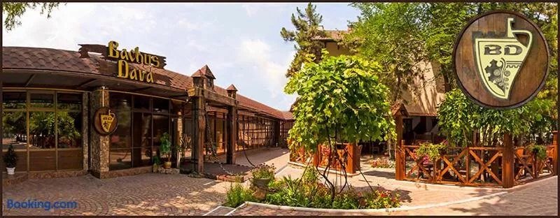 Hotel Bachus
