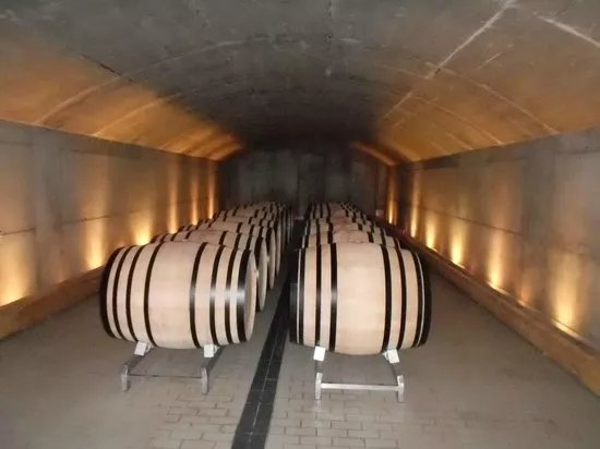 Winebus