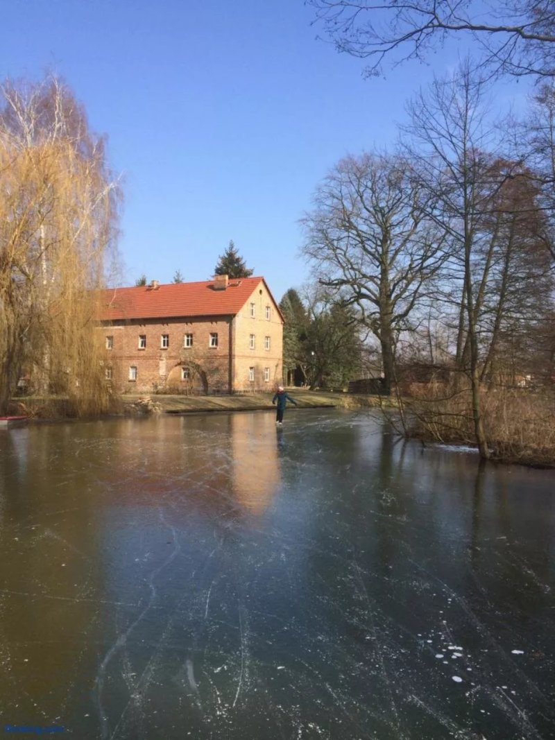 Storchenblick