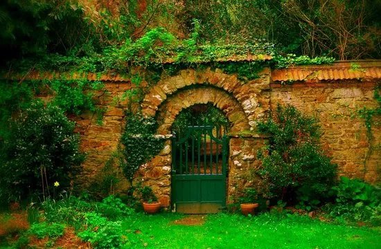 Enys Gardens