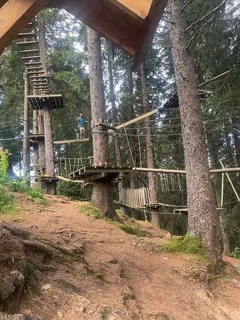 Parc Aventure Point-Sud