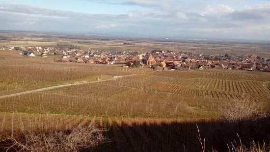 Domaine Moltes Antoine et Fils