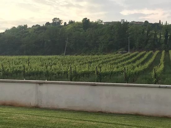 Azienda Agricola Albino Piona