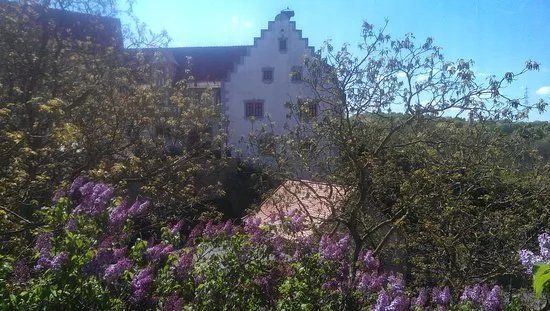 Schloss Liebenstein