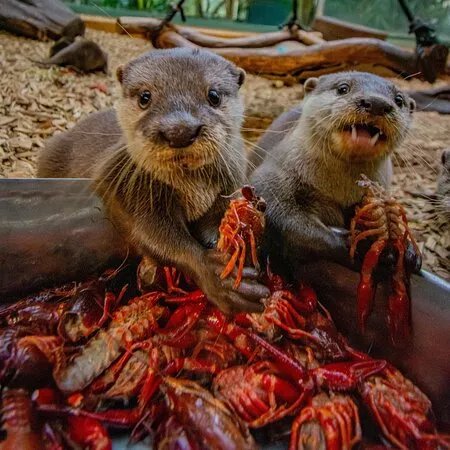 Zoo Dortmund