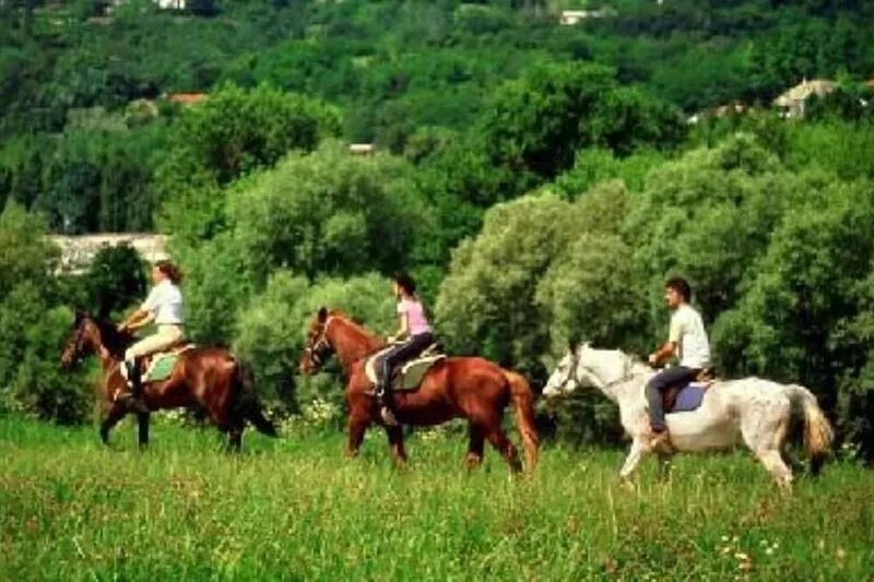 TUSCANY STONE HOUSE - BORGO CASALINO