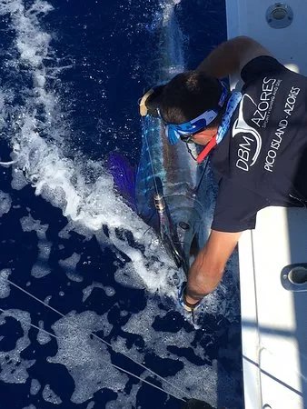 DBM Azores - Sport Fishing Charters