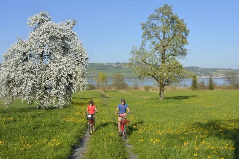 Sempachersee Tourismus
