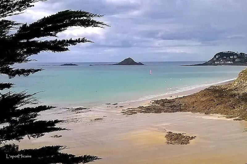 Les Sirènes, character gîte with swimming pool, 20 minutes from the coast