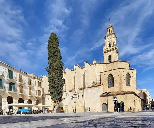 Insignia Collegiate Church of Gandia