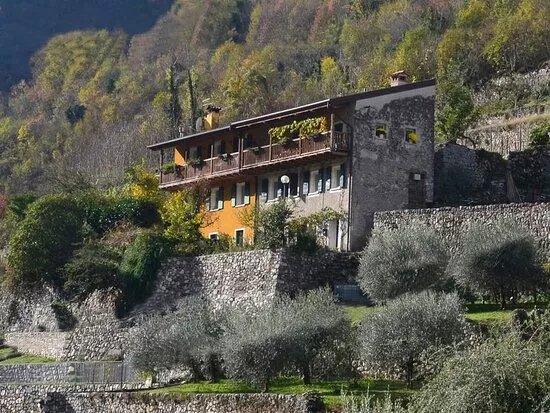 Azienda Agricola i barchi
