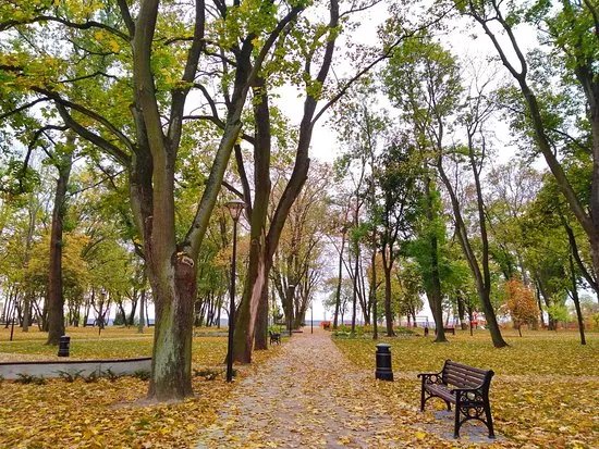 Park Tysiaclecia