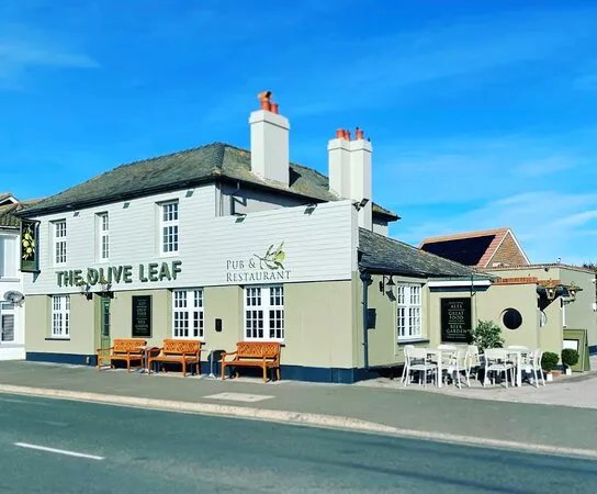 The Olive Leaf