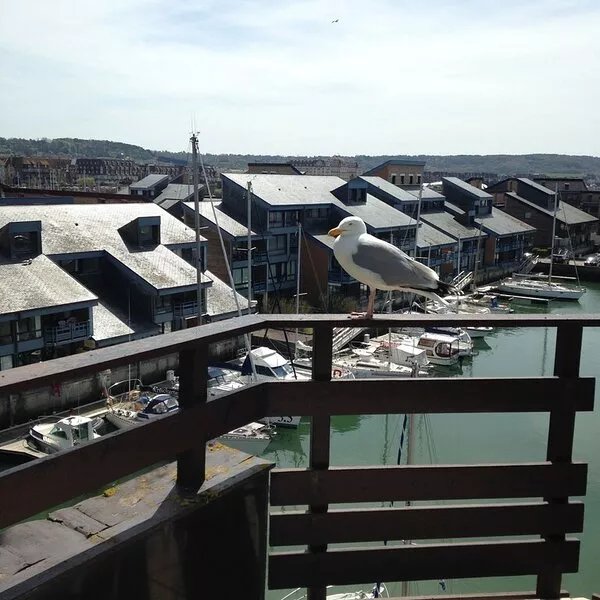 Spacious Triplex Terrasse Deauville 80M2 Port Marina Sea / Beach View 5Mins