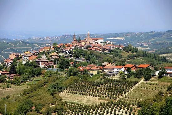 Azienda Agricola Mario Giribaldi