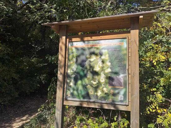 Riserva Naturale Regionale del Monte Salviano