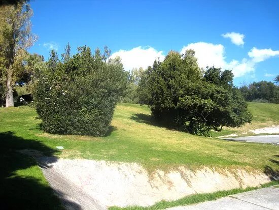 Eleftherios Park