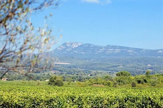 Domaine du Clos Gautier