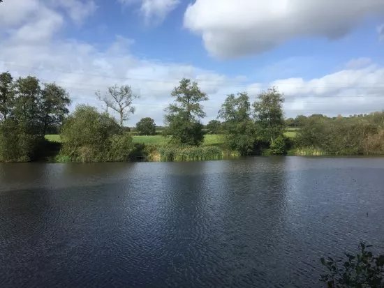 The mill pond