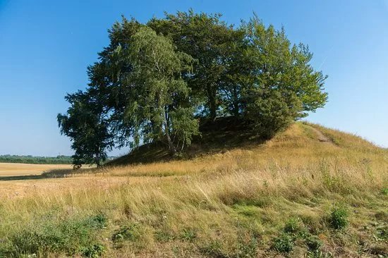 Hvedshoj Gravhoj