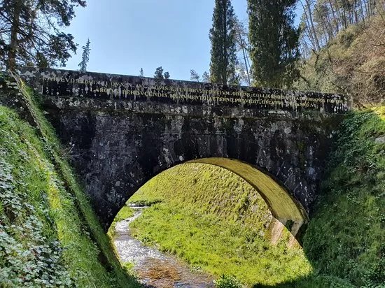 Parole d'Oro