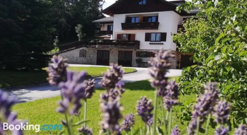 Fruhstuckspension Zanschbach