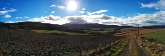 Ben Rinnes