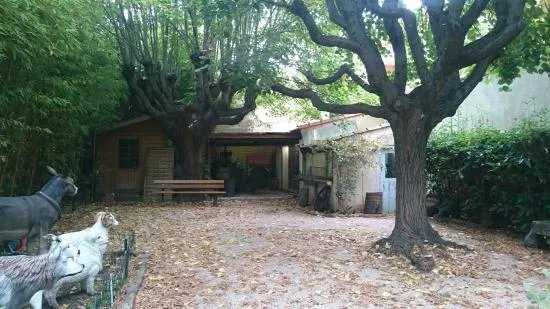 Musee d'Histoire Locale et des Traditions