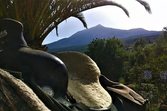 Finca Estrella - Ausritte und Wanderreiten im Norden von Teneriffa