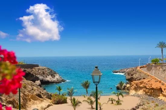 Canary Island Transfer